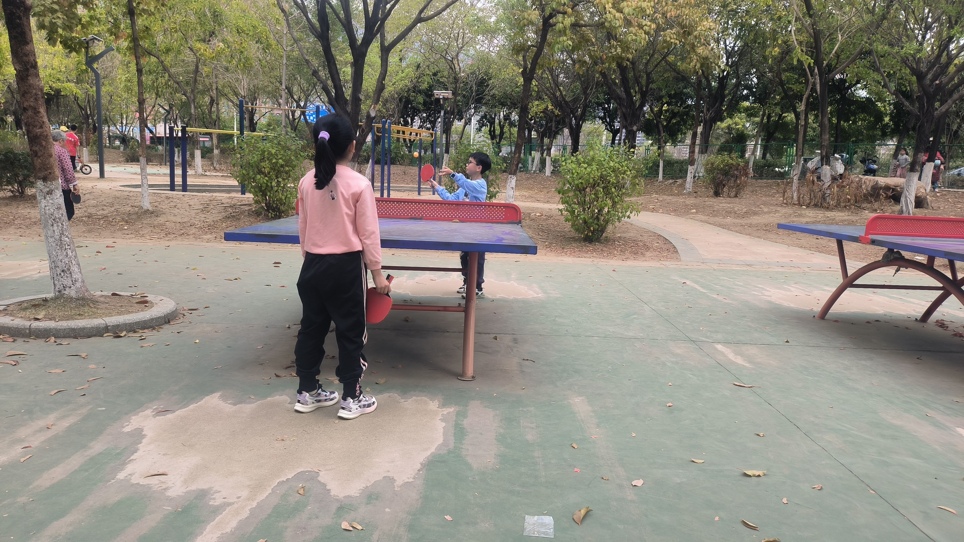 20250302-飞来湖练习乒乓球