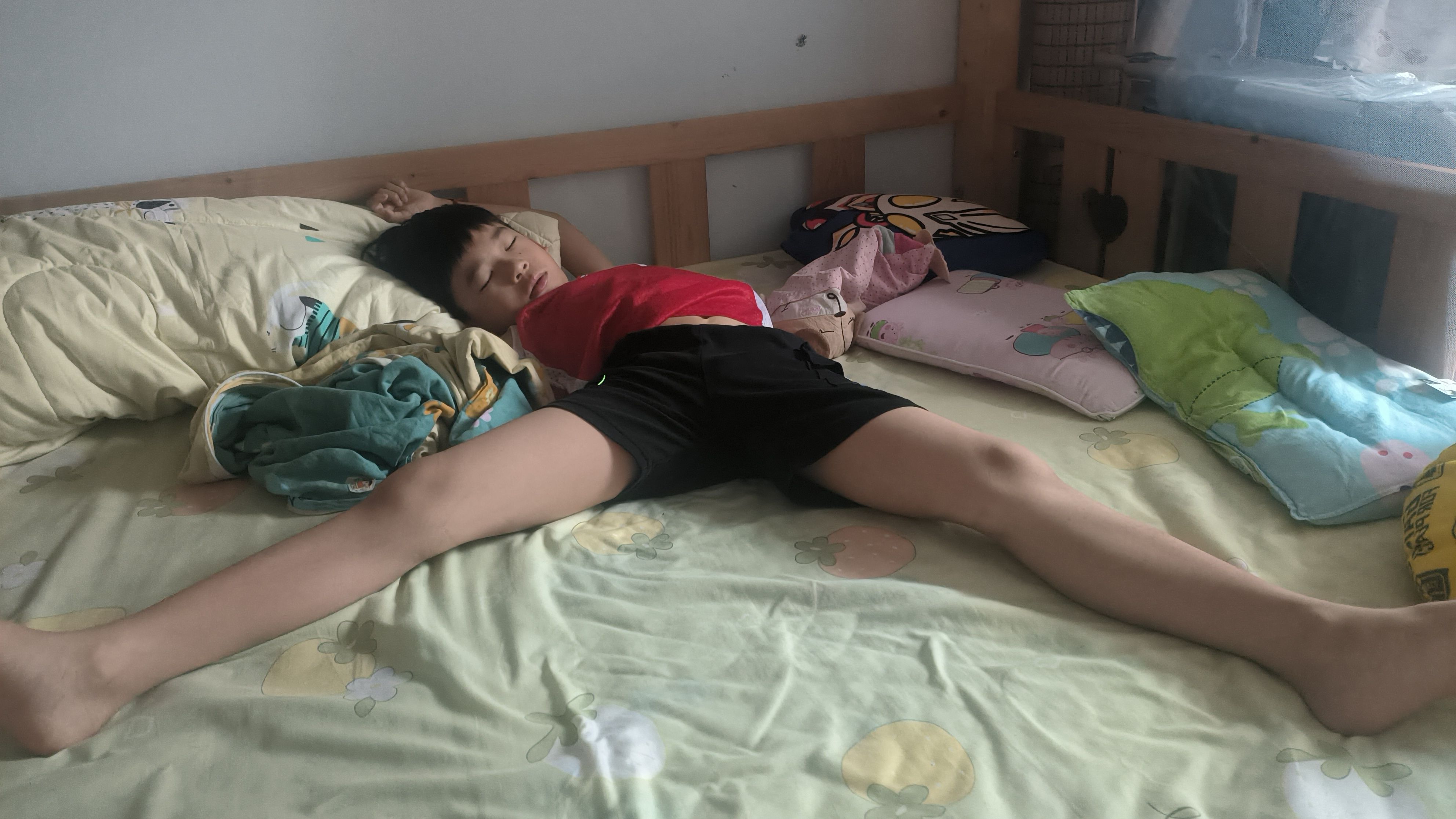 睡姿夸张的小懒猪