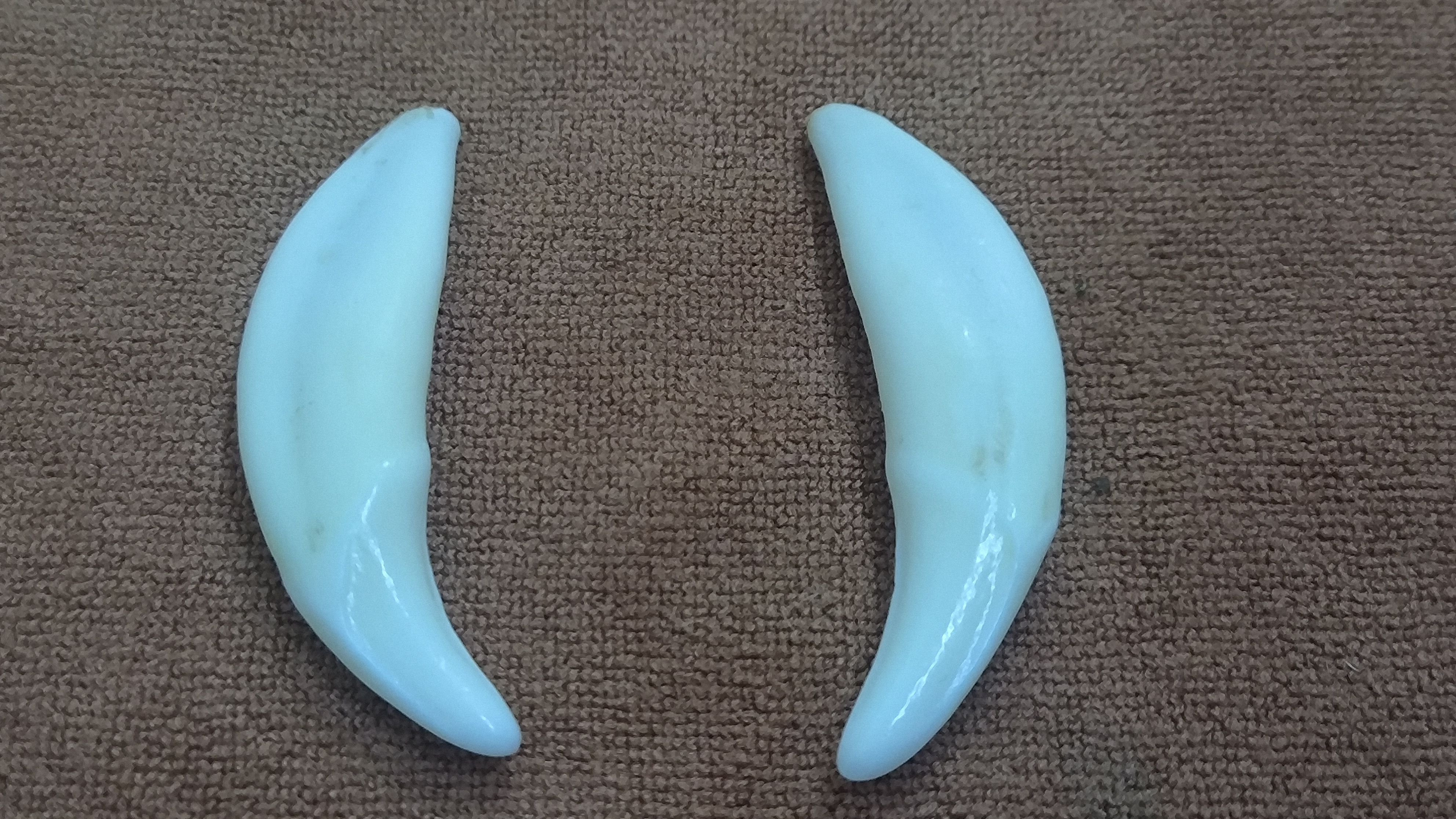 整对狗牙镇一镇邪