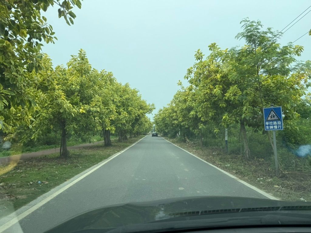 风车岛小道